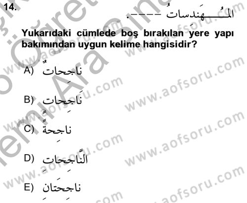Arapça 1 Dersi 2025 - 2026 Yılı (Vize) Ara Sınav Soruları 14. Soru