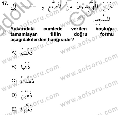 Arapça 1 Dersi 2025 - 2026 Yılı (Vize) Ara Sınav Soruları 17. Soru