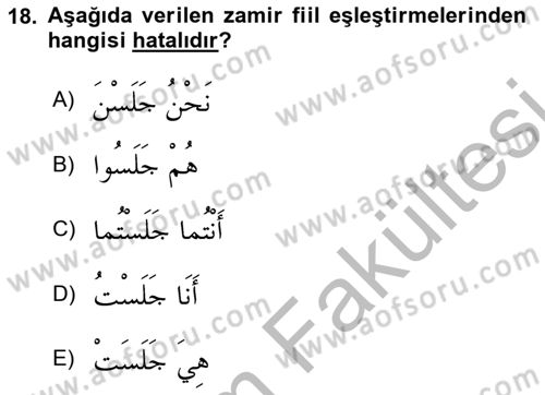 Arapça 1 Dersi 2025 - 2026 Yılı (Vize) Ara Sınav Soruları 18. Soru