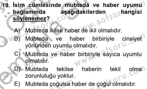 Arapça 1 Dersi 2025 - 2026 Yılı (Vize) Ara Sınav Soruları 19. Soru