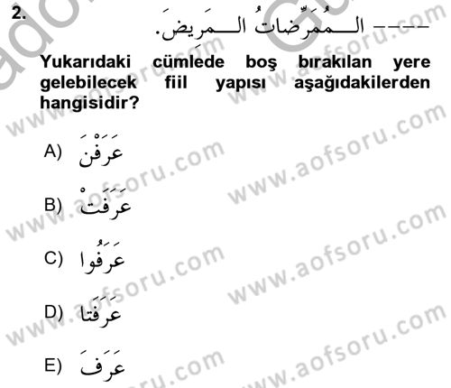 Arapça 1 Dersi 2025 - 2026 Yılı (Vize) Ara Sınav Soruları 2. Soru