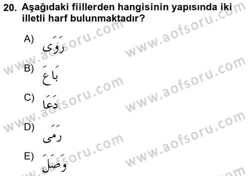 Arapça 1 Dersi 2025 - 2026 Yılı (Vize) Ara Sınav Soruları 20. Soru