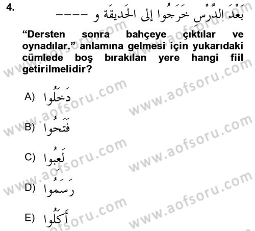 Arapça 1 Dersi 2025 - 2026 Yılı (Vize) Ara Sınav Soruları 4. Soru