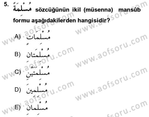 Arapça 1 Dersi 2025 - 2026 Yılı (Vize) Ara Sınav Soruları 5. Soru