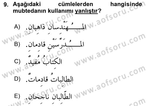 Arapça 1 Dersi 2025 - 2026 Yılı (Vize) Ara Sınav Soruları 9. Soru