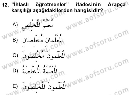 Arapça 1 Dersi 2025 - 2026 Yılı (Final) Dönem Sonu Sınav Soruları 12. Soru