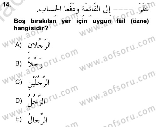 Arapça 1 Dersi 2025 - 2026 Yılı (Final) Dönem Sonu Sınav Soruları 14. Soru