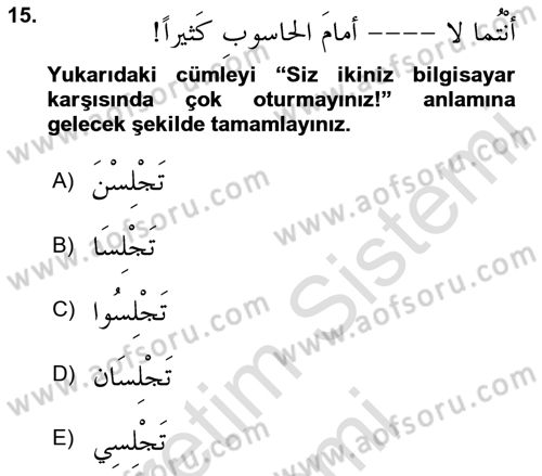 Arapça 1 Dersi 2025 - 2026 Yılı (Final) Dönem Sonu Sınav Soruları 15. Soru