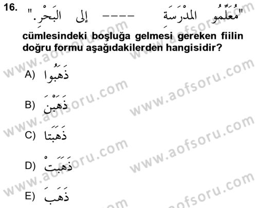 Arapça 1 Dersi 2025 - 2026 Yılı (Final) Dönem Sonu Sınav Soruları 16. Soru
