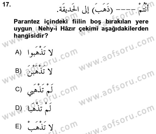 Arapça 1 Dersi 2025 - 2026 Yılı (Final) Dönem Sonu Sınav Soruları 17. Soru