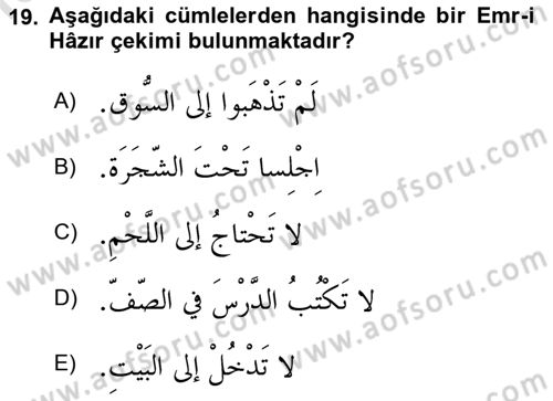 Arapça 1 Dersi 2025 - 2026 Yılı (Final) Dönem Sonu Sınav Soruları 19. Soru