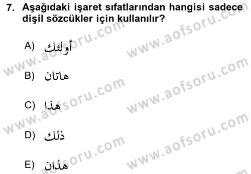 Arapça 1 Dersi 2025 - 2026 Yılı (Final) Dönem Sonu Sınav Soruları 7. Soru