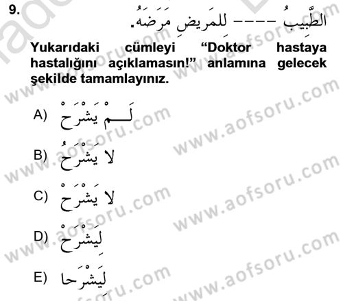 Arapça 1 Dersi 2025 - 2026 Yılı (Final) Dönem Sonu Sınav Soruları 9. Soru