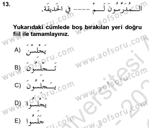 Arapça 1 Dersi 2025 - 2026 Yılı Yaz Okulu Sınav Soruları 13. Soru