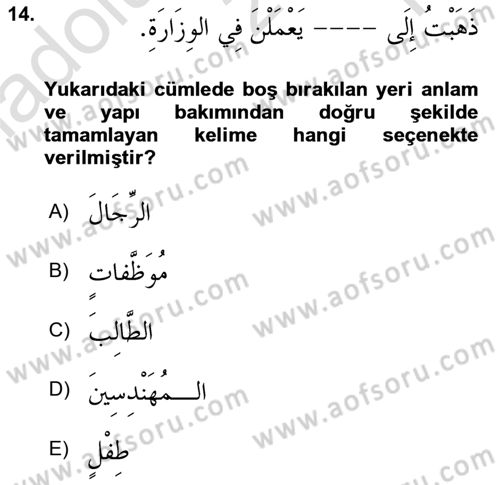 Arapça 1 Dersi 2025 - 2026 Yılı Yaz Okulu Sınav Soruları 14. Soru
