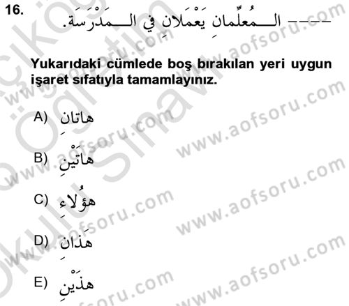 Arapça 1 Dersi 2025 - 2026 Yılı Yaz Okulu Sınav Soruları 16. Soru