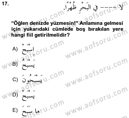 Arapça 1 Dersi 2025 - 2026 Yılı Yaz Okulu Sınav Soruları 17. Soru
