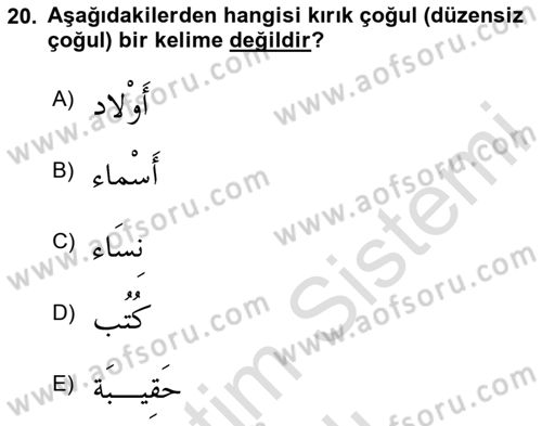 Arapça 1 Dersi 2025 - 2026 Yılı Yaz Okulu Sınav Soruları 20. Soru
