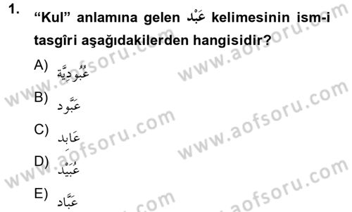 Arapça 2 Dersi 2012 - 2013 Yılı (Vize) Ara Sınav Soruları 1. Soru