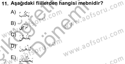 Arapça 2 Dersi 2012 - 2013 Yılı (Vize) Ara Sınav Soruları 11. Soru