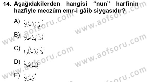 Arapça 2 Dersi 2012 - 2013 Yılı (Vize) Ara Sınav Soruları 14. Soru