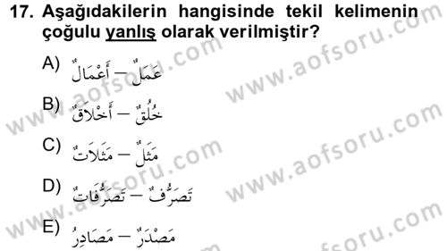 Arapça 2 Dersi 2012 - 2013 Yılı (Vize) Ara Sınav Soruları 17. Soru
