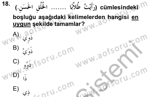 Arapça 2 Dersi 2012 - 2013 Yılı (Vize) Ara Sınav Soruları 18. Soru