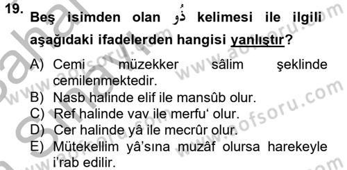 Arapça 2 Dersi 2012 - 2013 Yılı (Vize) Ara Sınav Soruları 19. Soru