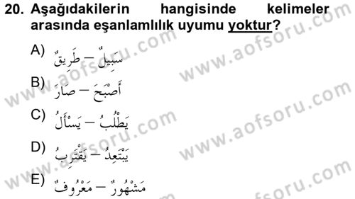 Arapça 2 Dersi 2012 - 2013 Yılı (Vize) Ara Sınav Soruları 20. Soru