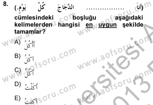 Arapça 2 Dersi 2012 - 2013 Yılı (Vize) Ara Sınav Soruları 8. Soru