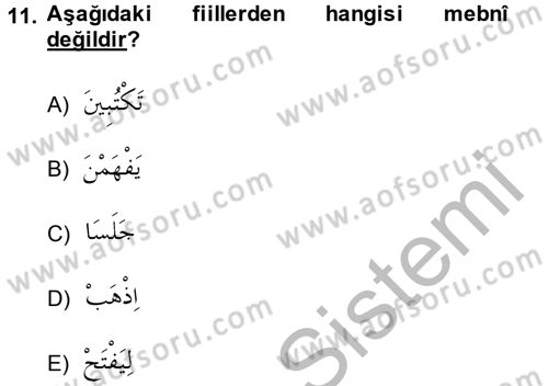Arapça 2 Dersi 2013 - 2014 Yılı (Vize) Ara Sınav Soruları 11. Soru