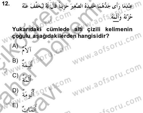 Arapça 2 Dersi 2013 - 2014 Yılı (Vize) Ara Sınav Soruları 12. Soru