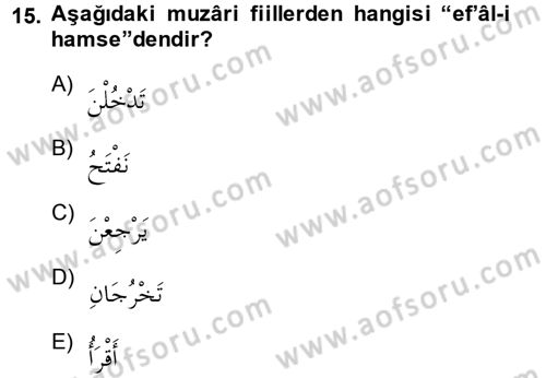 Arapça 2 Dersi 2013 - 2014 Yılı (Vize) Ara Sınav Soruları 15. Soru