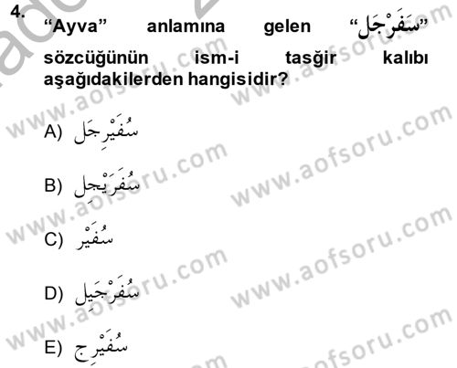 Arapça 2 Dersi 2013 - 2014 Yılı (Vize) Ara Sınav Soruları 4. Soru