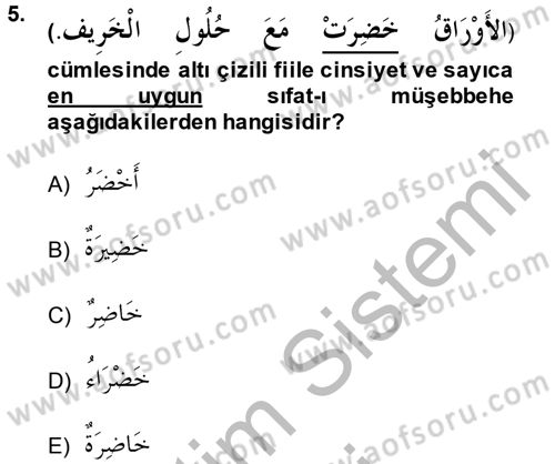 Arapça 2 Dersi 2013 - 2014 Yılı (Vize) Ara Sınav Soruları 5. Soru