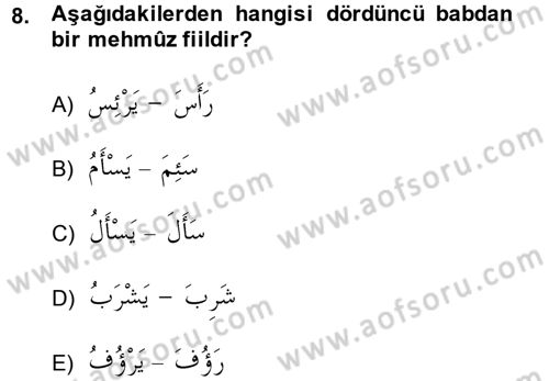 Arapça 2 Dersi 2013 - 2014 Yılı (Vize) Ara Sınav Soruları 8. Soru