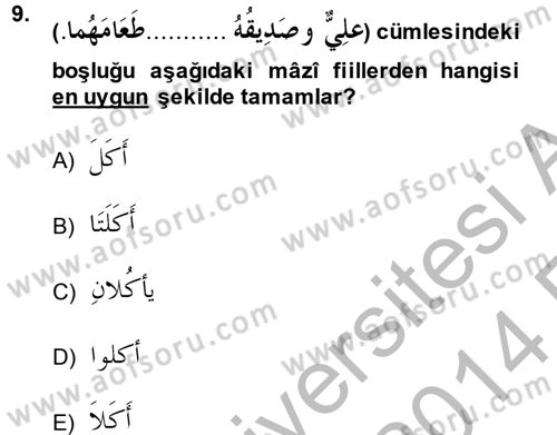 Arapça 2 Dersi 2013 - 2014 Yılı (Vize) Ara Sınav Soruları 9. Soru