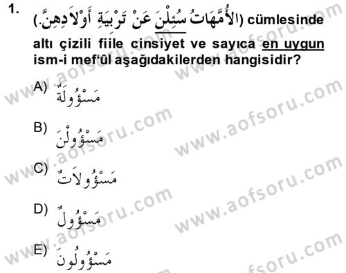 Arapça 2 Dersi 2013 - 2014 Yılı (Final) Dönem Sonu Sınav Soruları 1. Soru