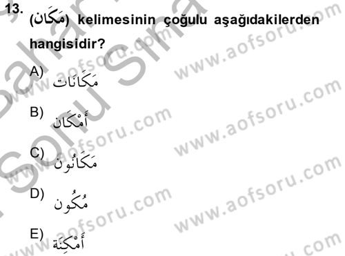 Arapça 2 Dersi 2013 - 2014 Yılı (Final) Dönem Sonu Sınav Soruları 13. Soru