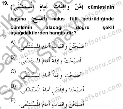 Arapça 2 Dersi 2013 - 2014 Yılı (Final) Dönem Sonu Sınav Soruları 19. Soru