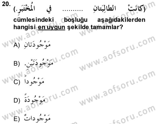 Arapça 2 Dersi 2013 - 2014 Yılı (Final) Dönem Sonu Sınav Soruları 20. Soru