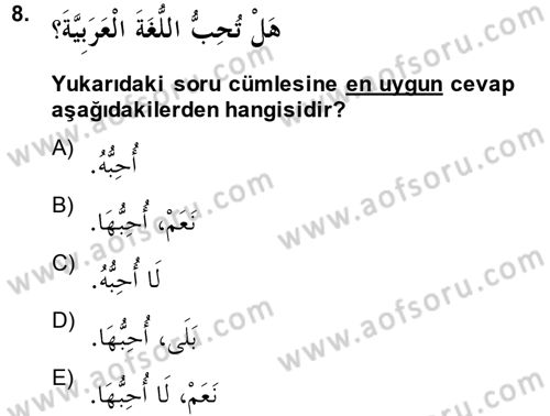 Arapça 2 Dersi 2013 - 2014 Yılı (Final) Dönem Sonu Sınav Soruları 8. Soru
