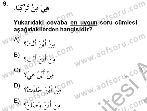 Arapça 2 Dersi 2013 - 2014 Yılı (Final) Dönem Sonu Sınav Soruları 9. Soru