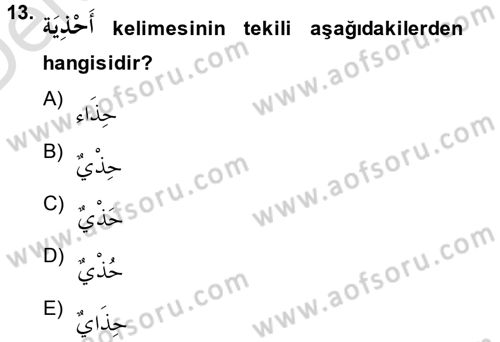 Arapça 2 Dersi 2013 - 2014 Yılı Tek Ders Sınav Soruları 13. Soru