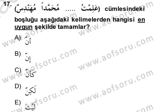 Arapça 2 Dersi 2013 - 2014 Yılı Tek Ders Sınav Soruları 17. Soru