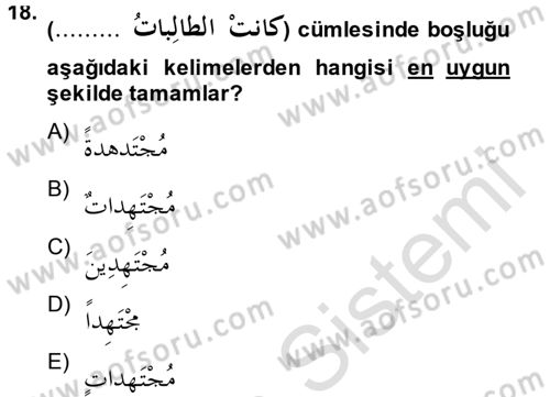 Arapça 2 Dersi 2013 - 2014 Yılı Tek Ders Sınav Soruları 18. Soru