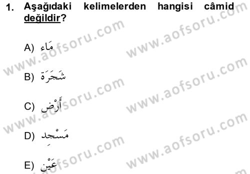 Arapça 2 Dersi 2014 - 2015 Yılı (Vize) Ara Sınav Soruları 1. Soru