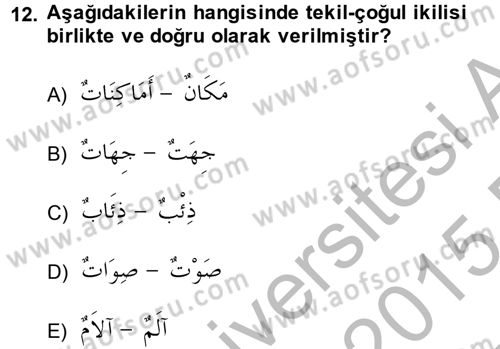 Arapça 2 Dersi 2014 - 2015 Yılı (Vize) Ara Sınav Soruları 12. Soru