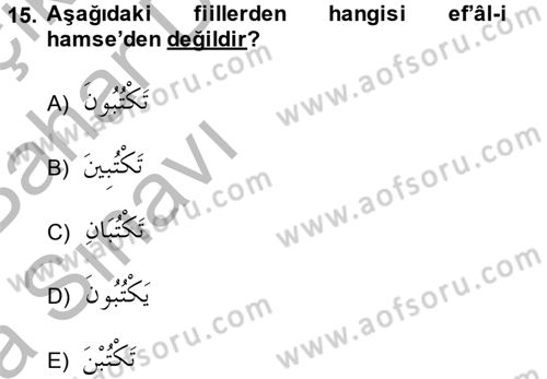 Arapça 2 Dersi 2014 - 2015 Yılı (Vize) Ara Sınav Soruları 15. Soru