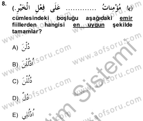Arapça 2 Dersi 2014 - 2015 Yılı (Vize) Ara Sınav Soruları 8. Soru